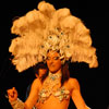 spectacle de danseuse de samba